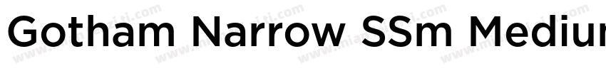 Gotham Narrow SSm Medium字体转换